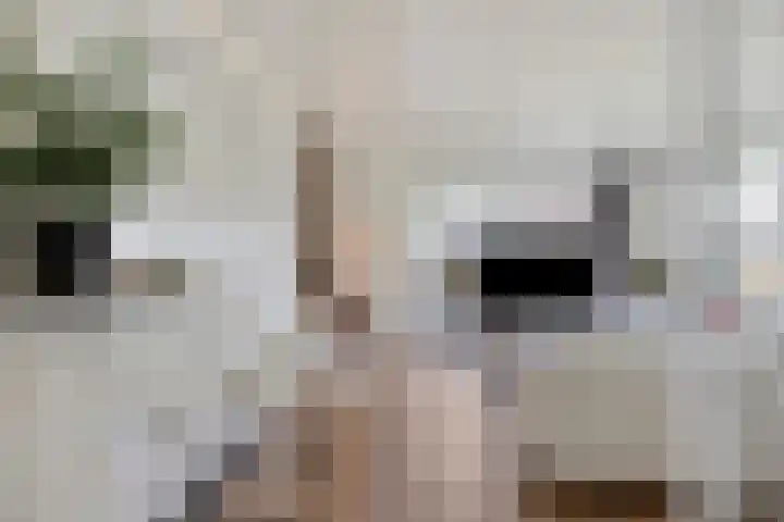 Kneuterstraat 30 Wilp thumbnail 15