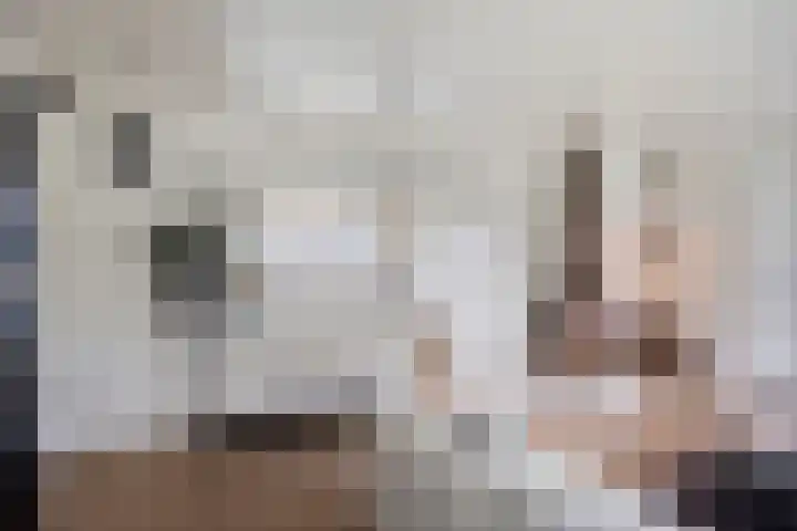 Kneuterstraat 30 Wilp thumbnail 18