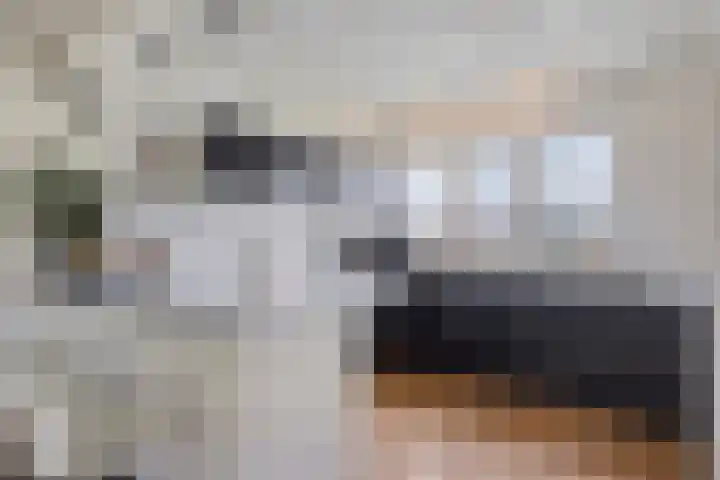 Kneuterstraat 30 Wilp thumbnail 19