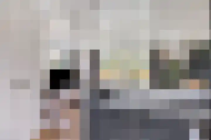 Kneuterstraat 30 Wilp thumbnail 21