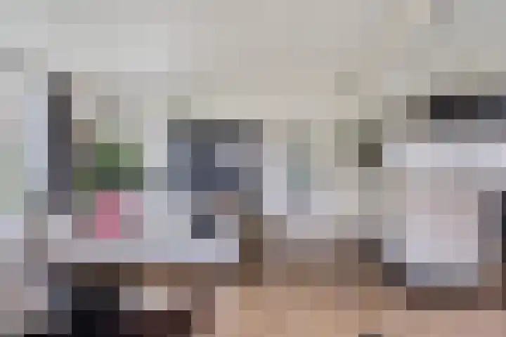 Kneuterstraat 30 Wilp thumbnail 24