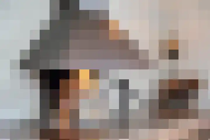 Kneuterstraat 30 Wilp thumbnail 27