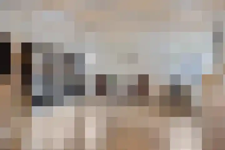Kneuterstraat 30 Wilp thumbnail 37