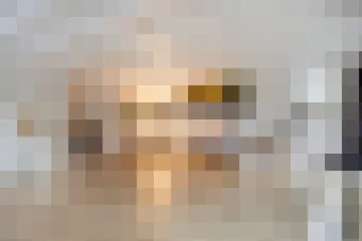 Kneuterstraat 30 Wilp thumbnail 38