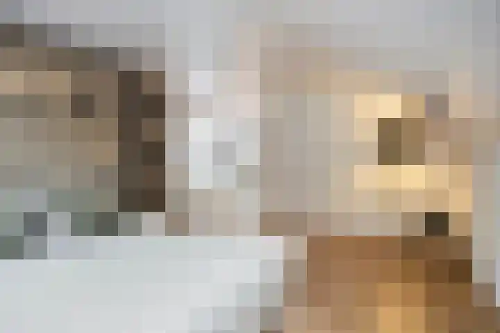 Kneuterstraat 30 Wilp thumbnail 42