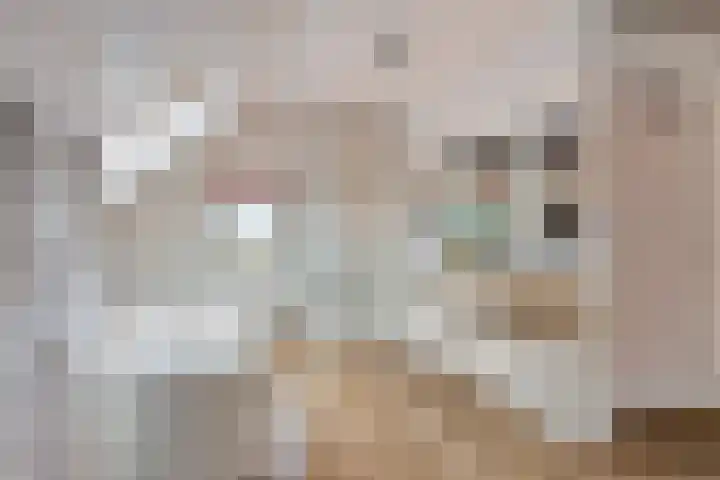 Kneuterstraat 30 Wilp thumbnail 44