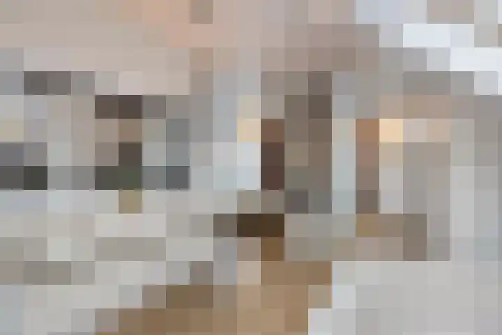 Kneuterstraat 30 Wilp thumbnail 45