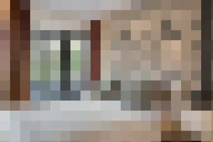 Kneuterstraat 30 Wilp thumbnail 46