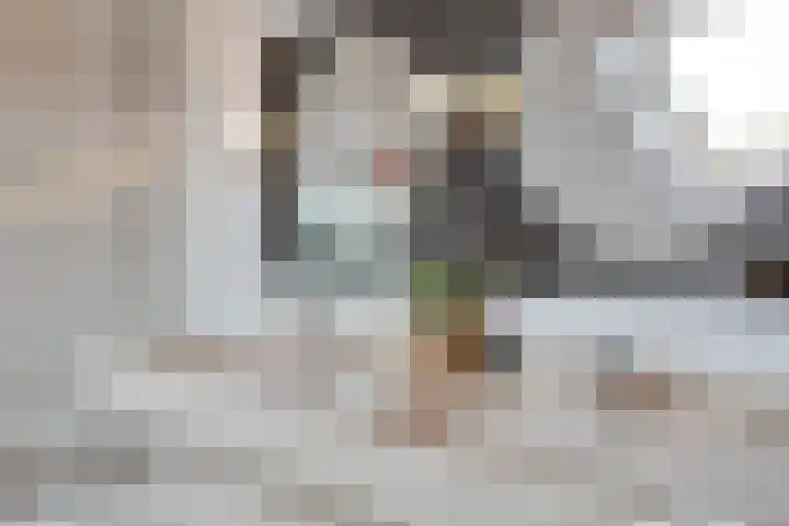 Kneuterstraat 30 Wilp thumbnail 47
