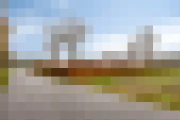 Kneuterstraat 30 Wilp thumbnail 49