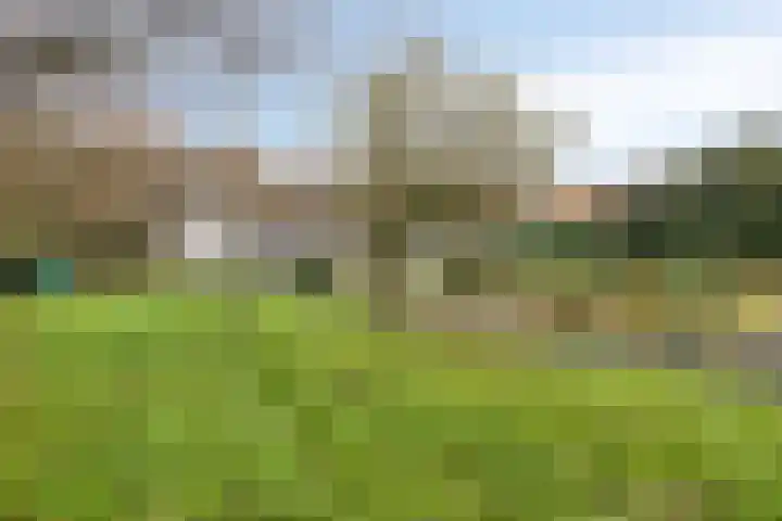Kneuterstraat 30 Wilp thumbnail 56