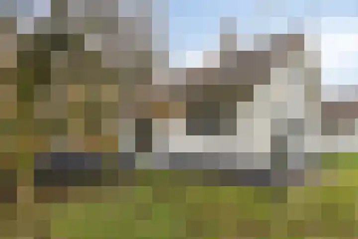 Kneuterstraat 30 Wilp thumbnail 57