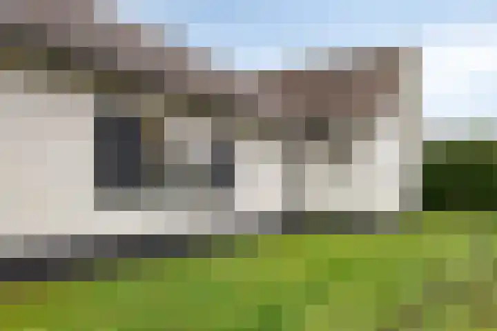 Kneuterstraat 30 Wilp thumbnail 60
