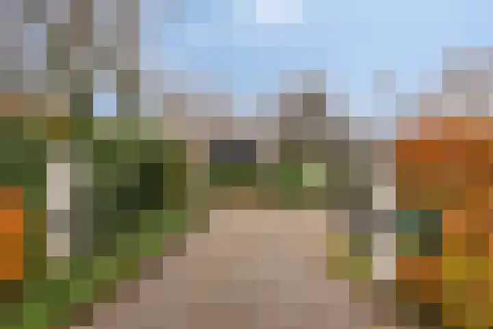 Kneuterstraat 30 Wilp thumbnail 7