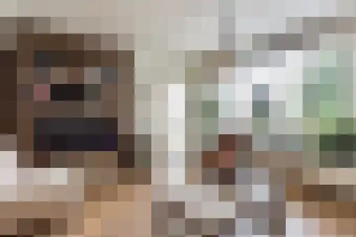 Knibbelakker 62 Epe thumbnail 10