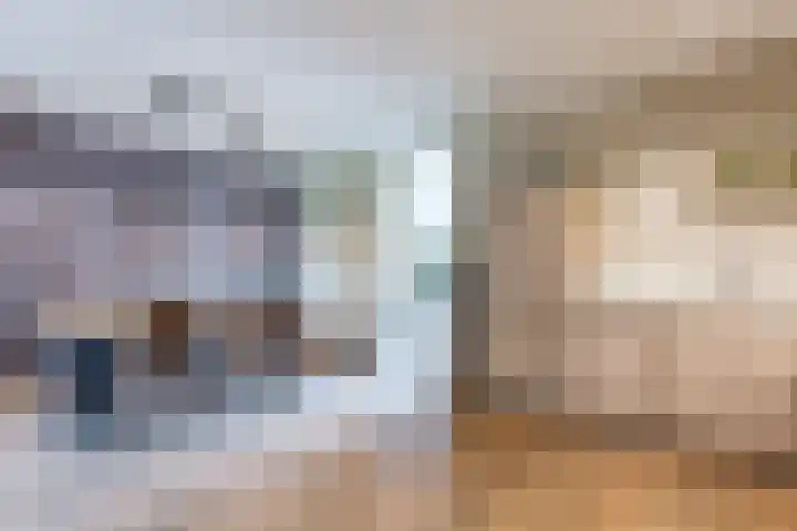 Knibbelakker 62 Epe thumbnail 13