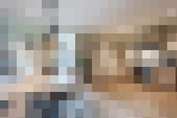 Knibbelakker 62 Epe thumbnail 14