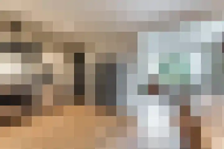 Knibbelakker 62 Epe thumbnail 15