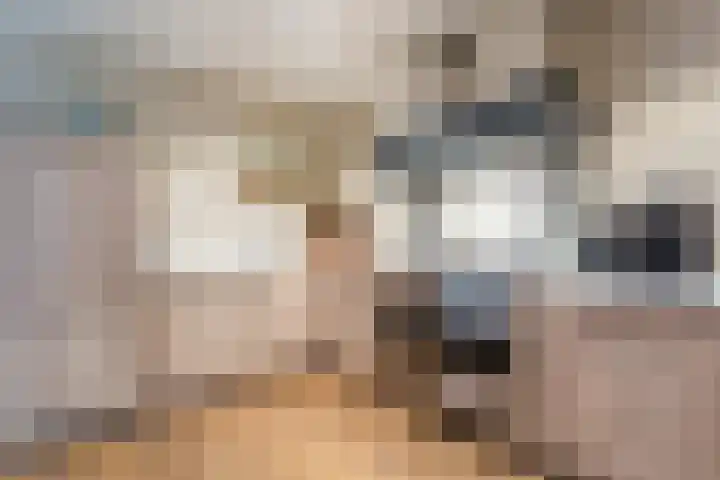 Knibbelakker 62 Epe thumbnail 17