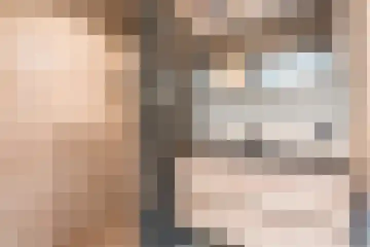 Knibbelakker 62 Epe thumbnail 19