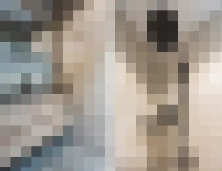 Knibbelakker 62 Epe thumbnail 20