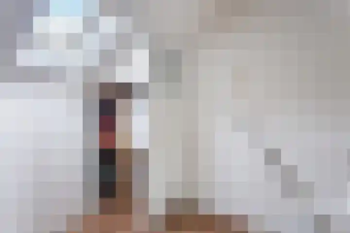 Knibbelakker 62 Epe thumbnail 24