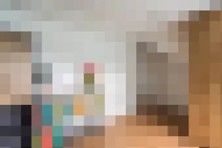 Knibbelakker 62 Epe thumbnail 30