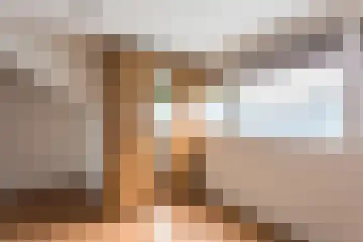 Knibbelakker 62 Epe thumbnail 31