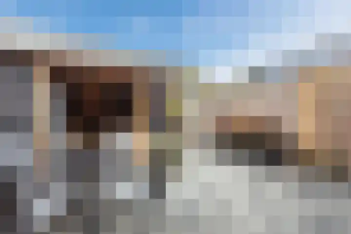 Knibbelakker 62 Epe thumbnail 32