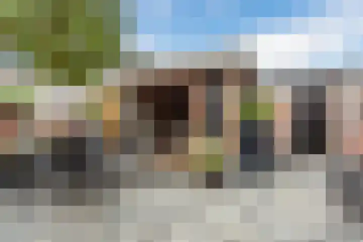 Knibbelakker 62 Epe thumbnail 33