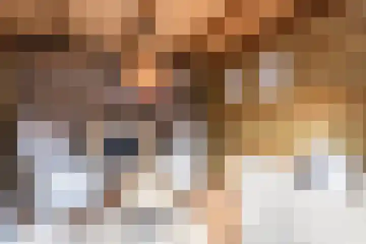 Knibbelakker 62 Epe thumbnail 34