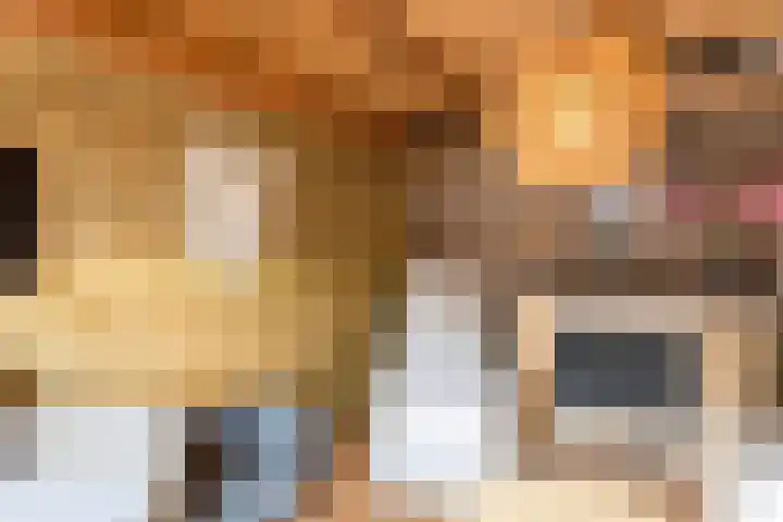Knibbelakker 62 Epe thumbnail 35