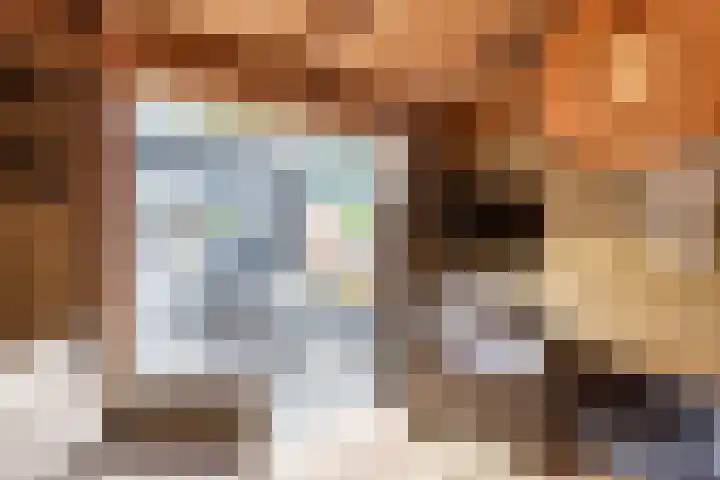 Knibbelakker 62 Epe thumbnail 36