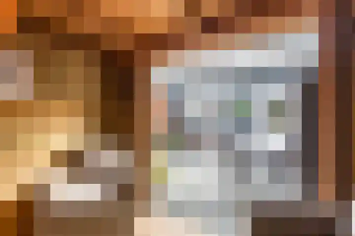 Knibbelakker 62 Epe thumbnail 37