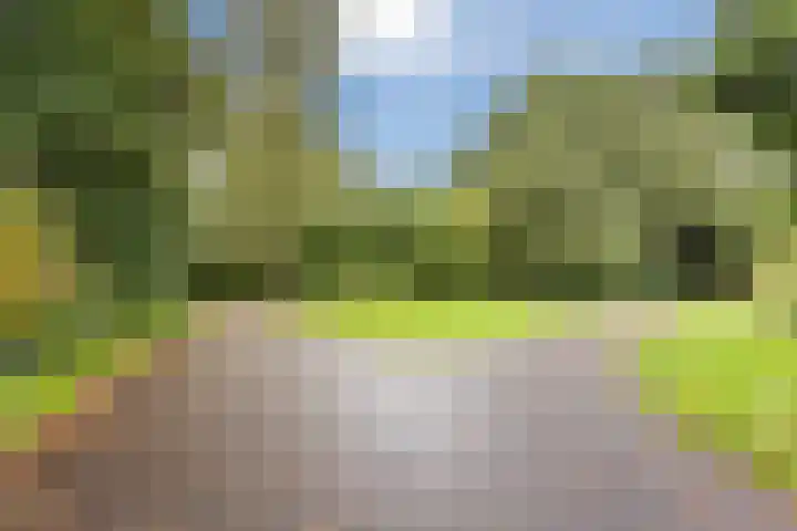 Knibbelakker 62 Epe thumbnail 39