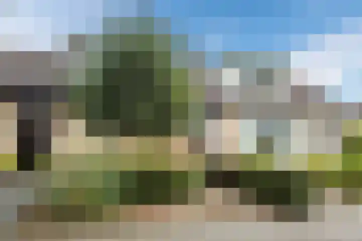 Knibbelakker 62 Epe thumbnail 4