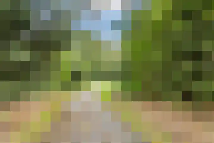 Knibbelakker 62 Epe thumbnail 40