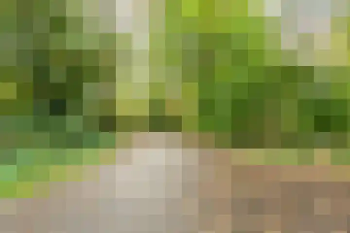 Knibbelakker 62 Epe thumbnail 41
