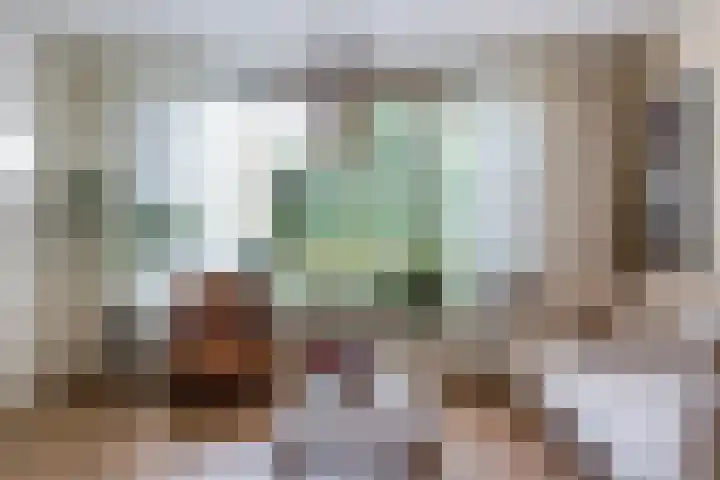 Knibbelakker 62 Epe thumbnail 6