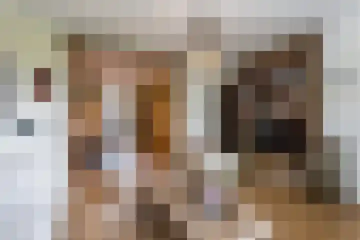 Knibbelakker 62 Epe thumbnail 7