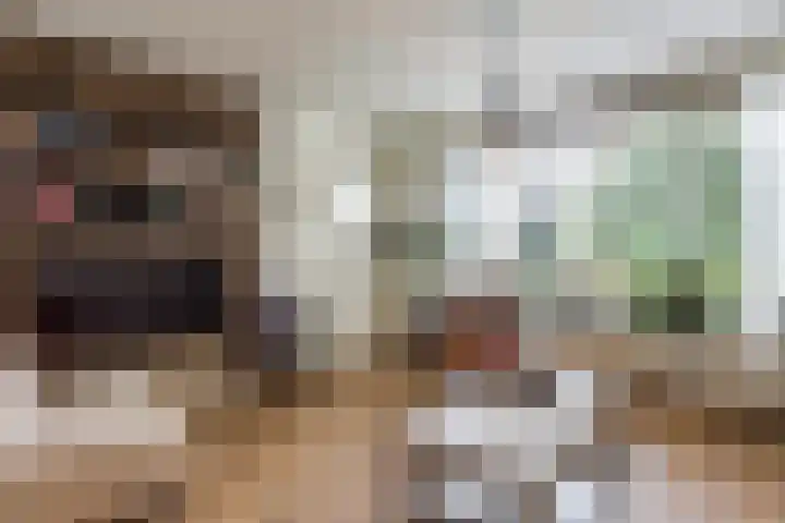Knibbelakker 62 Epe thumbnail 8