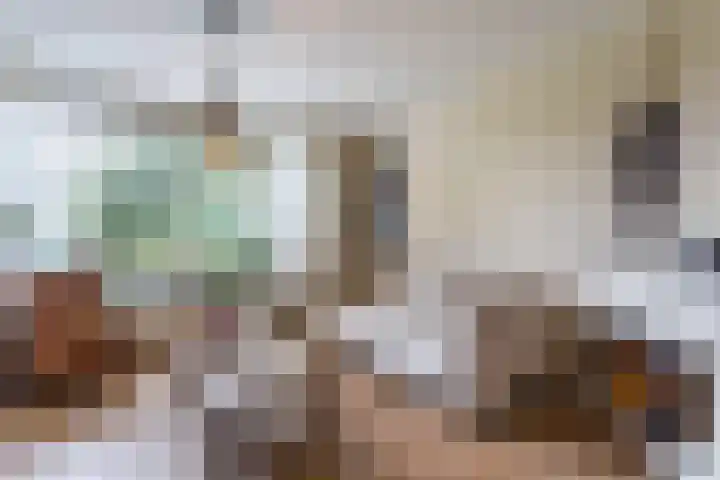 Knibbelakker 62 Epe thumbnail 9