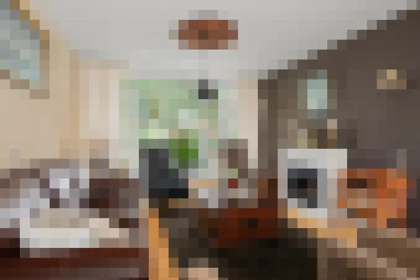 Knibbelakker 9 Ermelo thumbnail 10