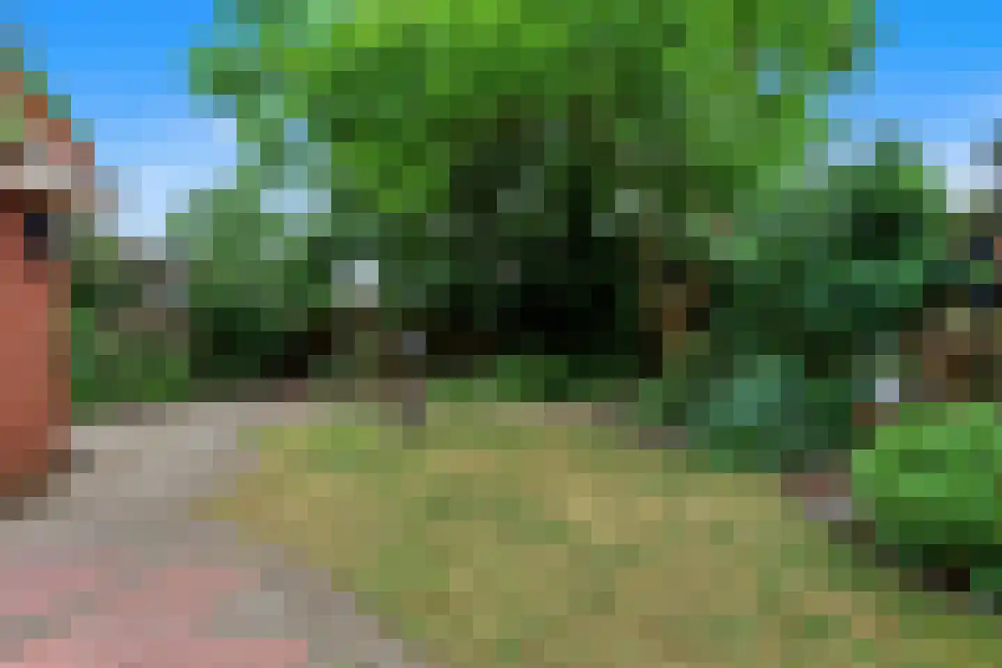 Knibbelakker 9 Ermelo thumbnail 32