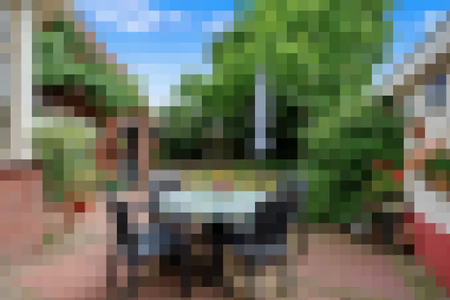 Knibbelakker 9 Ermelo thumbnail 4