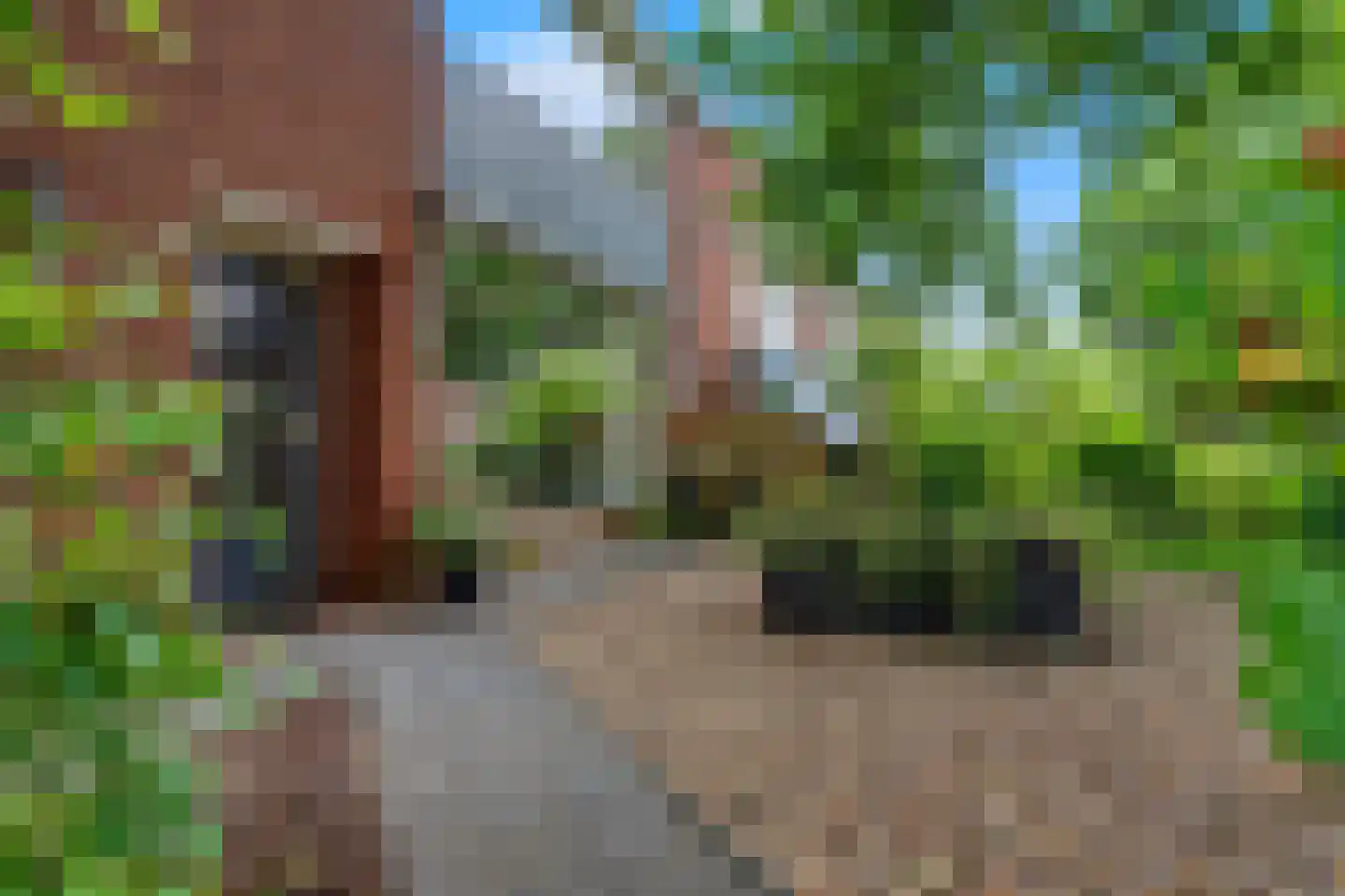 Knibbelakker 9 Ermelo thumbnail 6