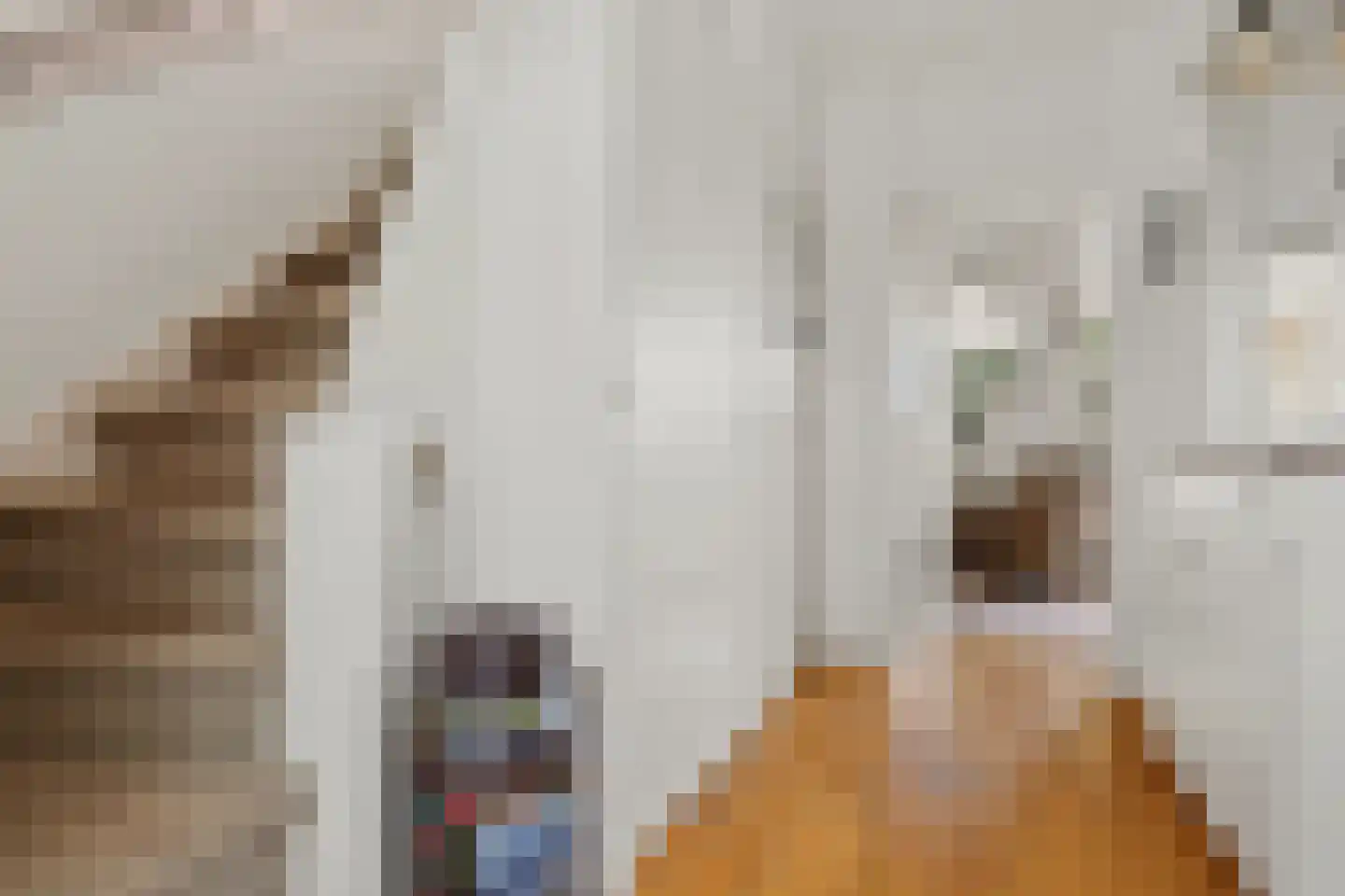 Knibbelakker 9 Ermelo thumbnail 7