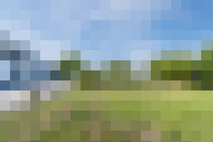 Knibbelweg 17 Zevenhuizen thumbnail 10
