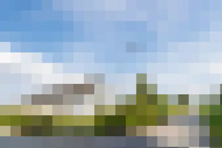 Knibbelweg 17 Zevenhuizen thumbnail 23