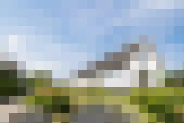 Knibbelweg 17 Zevenhuizen thumbnail 24